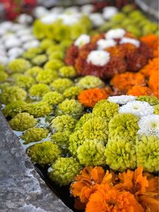 矢川神社(甲賀の雨宮) 5枚目