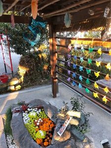 矢川神社(甲賀の雨宮) 6枚目