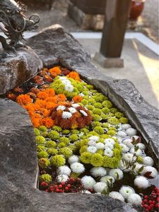 矢川神社(甲賀の雨宮) 7枚目