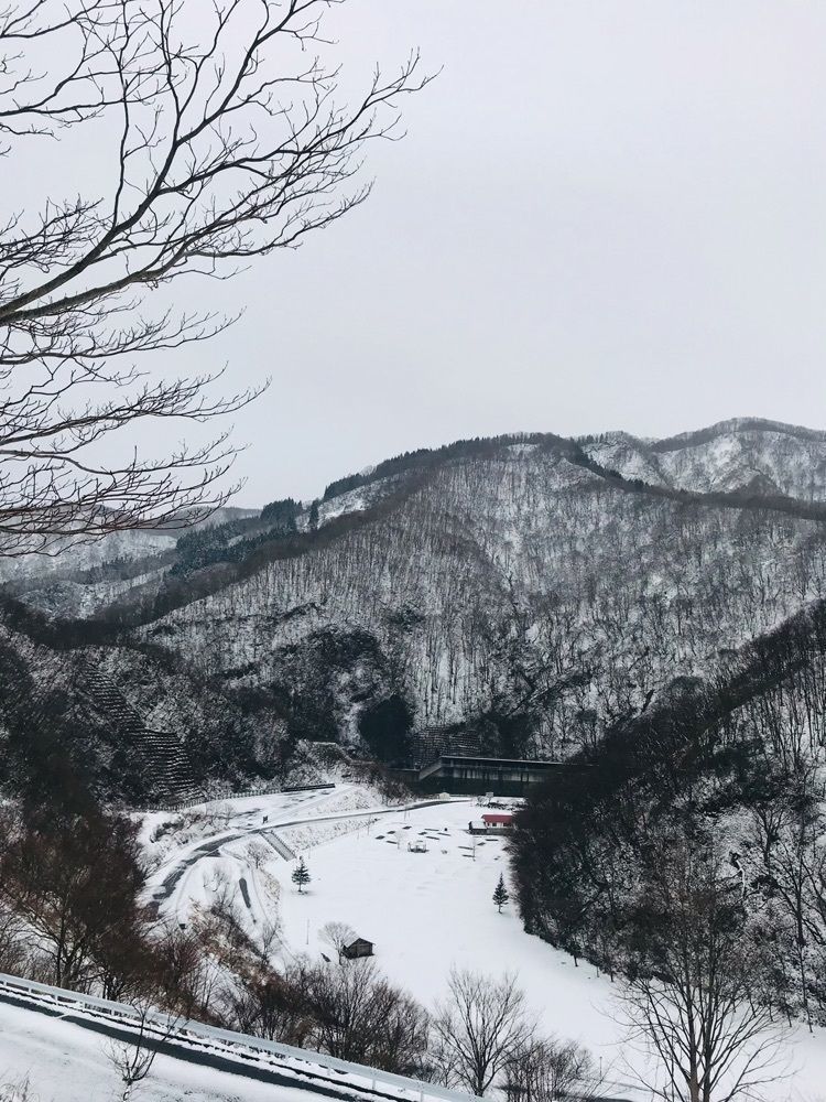 猫なぎ。さんが投稿した月山湖大噴水に関する口コミの画像