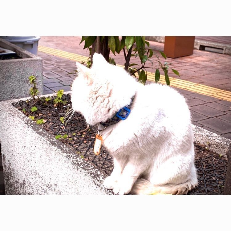 noraさんが投稿したスターバックス・コーヒー 宮崎山形屋店に関する口コミの画像