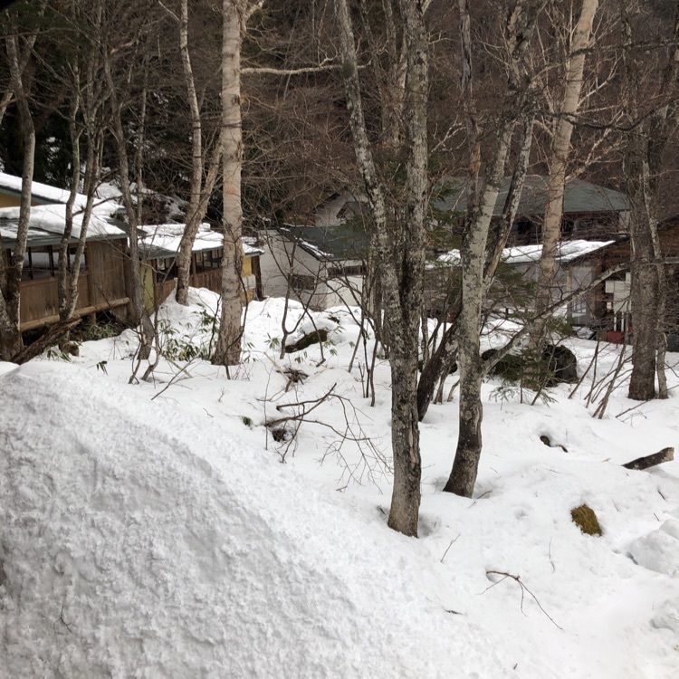 やす0419さんが投稿した八丁ノ湯に関する口コミの画像