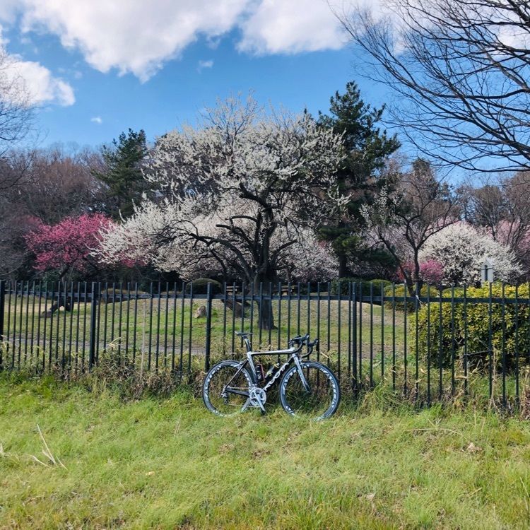 rider_uさんが投稿した滝の城址公園に関する口コミの画像