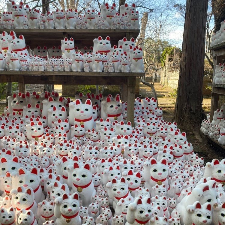 トミーさんが投稿した豪徳寺駅に関する口コミの画像