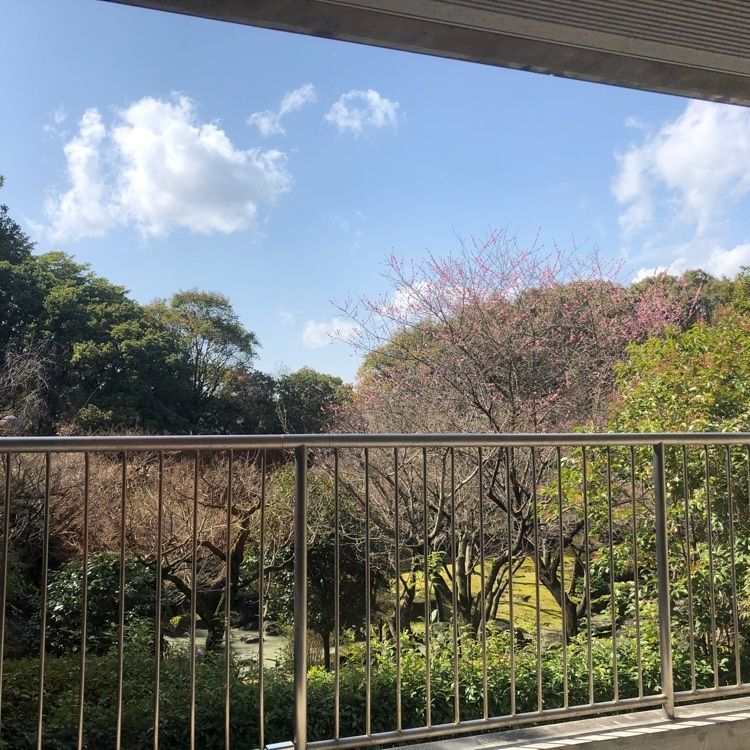 kimunii さんが投稿したレストラン クレセントに関する口コミの画像