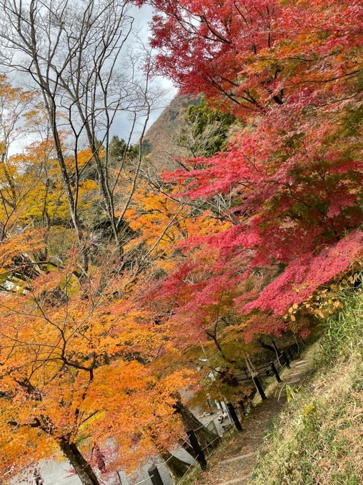 み～さんが投稿した水沢もみじ谷に関する口コミの画像
