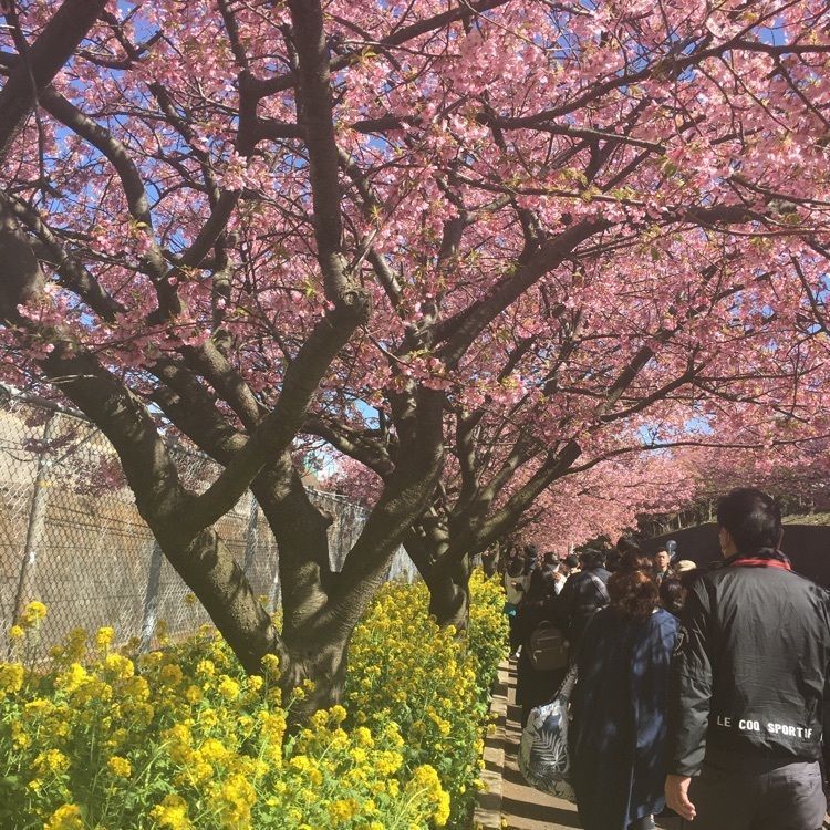 こまささんが投稿した小松ケ池に関する口コミの画像