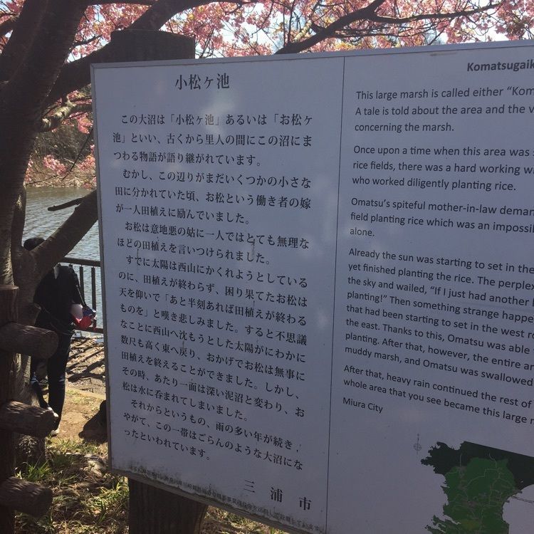 こまささんが投稿した小松ケ池に関する口コミの画像
