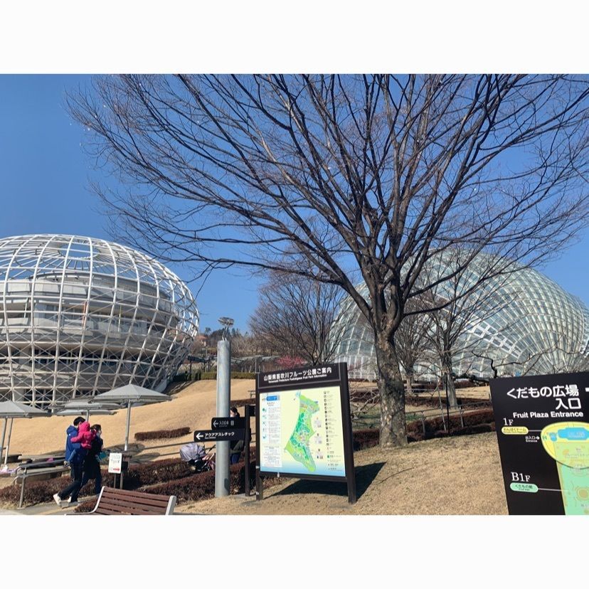 dyna6390さんが投稿した笛吹川フルーツ公園・フルーツセンターに関する口コミの画像