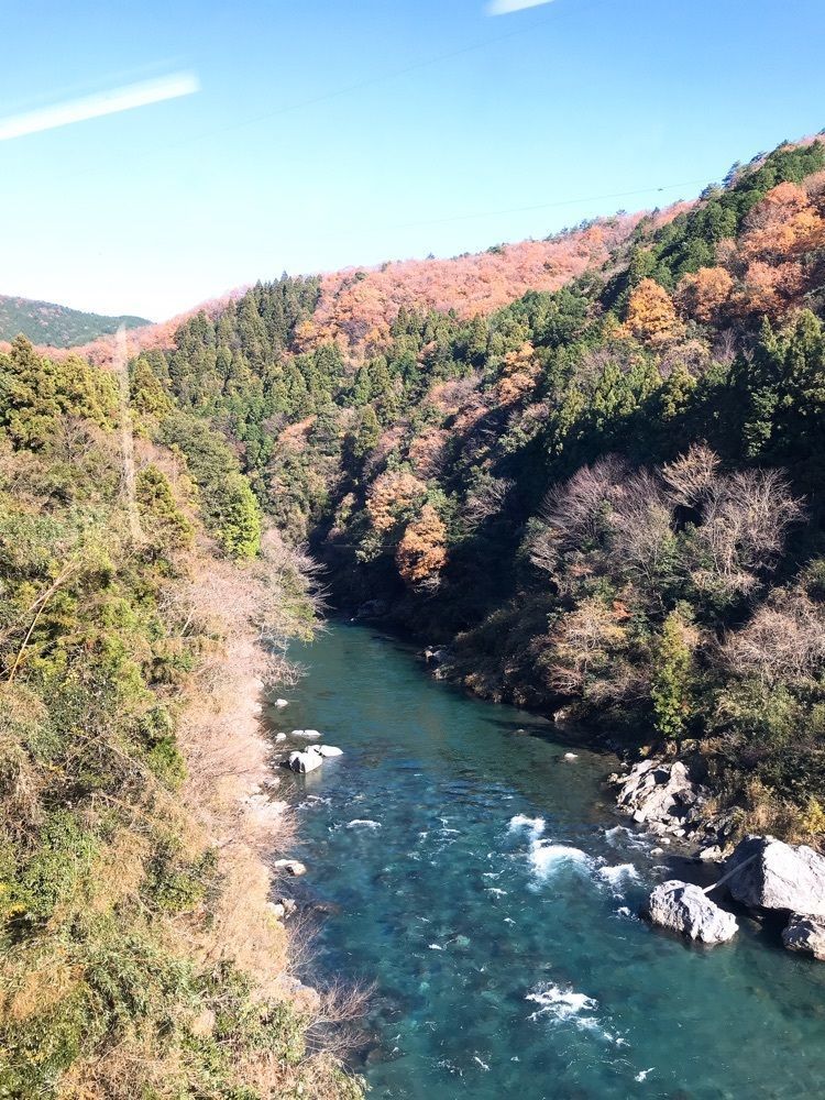 happy_babyさんが投稿した根尾谷地震断層観察館に関する口コミの画像