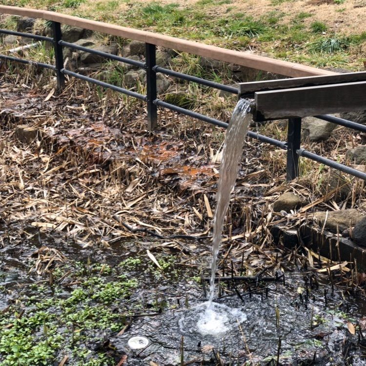 rural_anniversary_51adさんが投稿した久良岐公園に関する口コミの画像