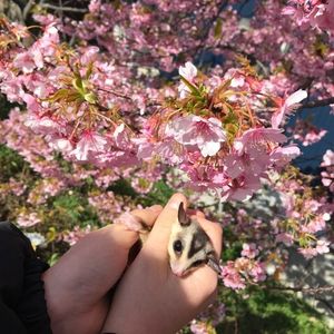 田原市民俗資料館 7枚目