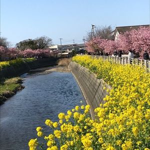 田原市民俗資料館 8枚目