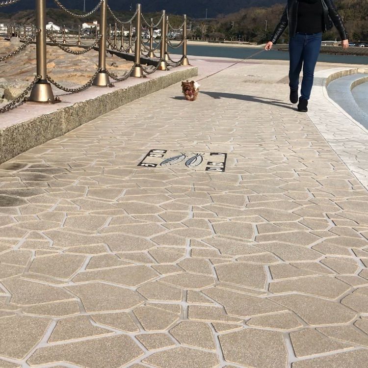 emotional_walking_05e5さんが投稿した多賀の浜海水浴場に関する口コミの画像