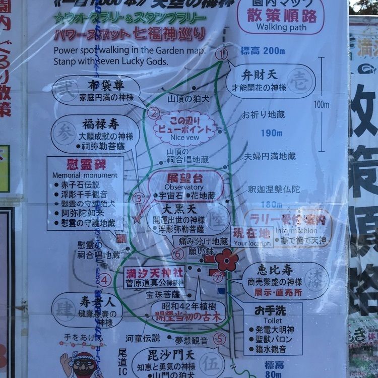 キングチェリーさんが投稿した満汐梅林に関する口コミの画像