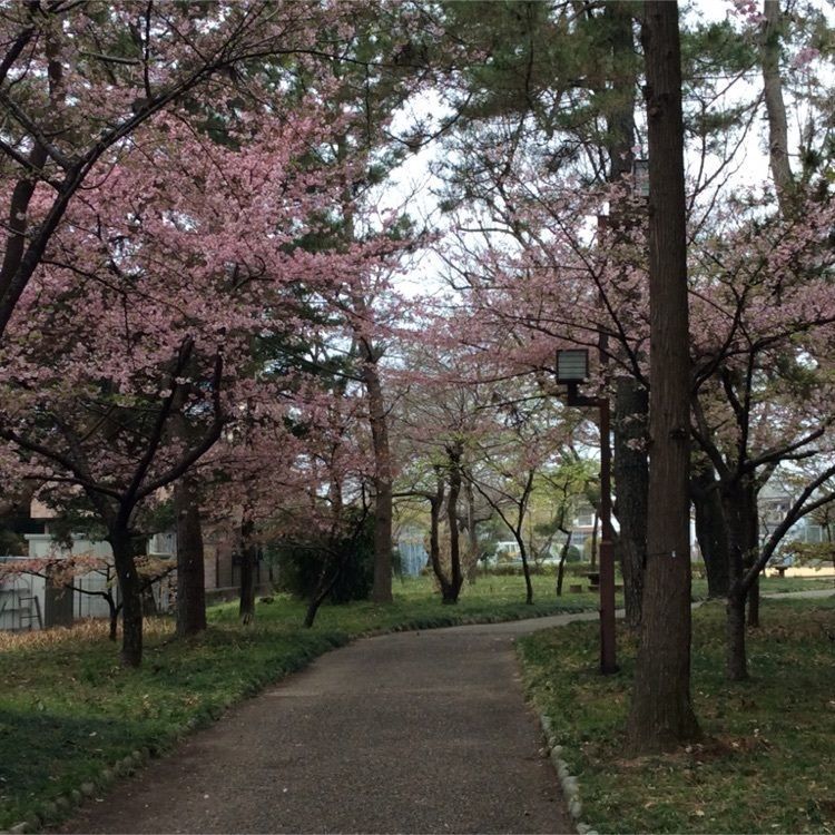 hiroさんが投稿した萬葉公園に関する口コミの画像