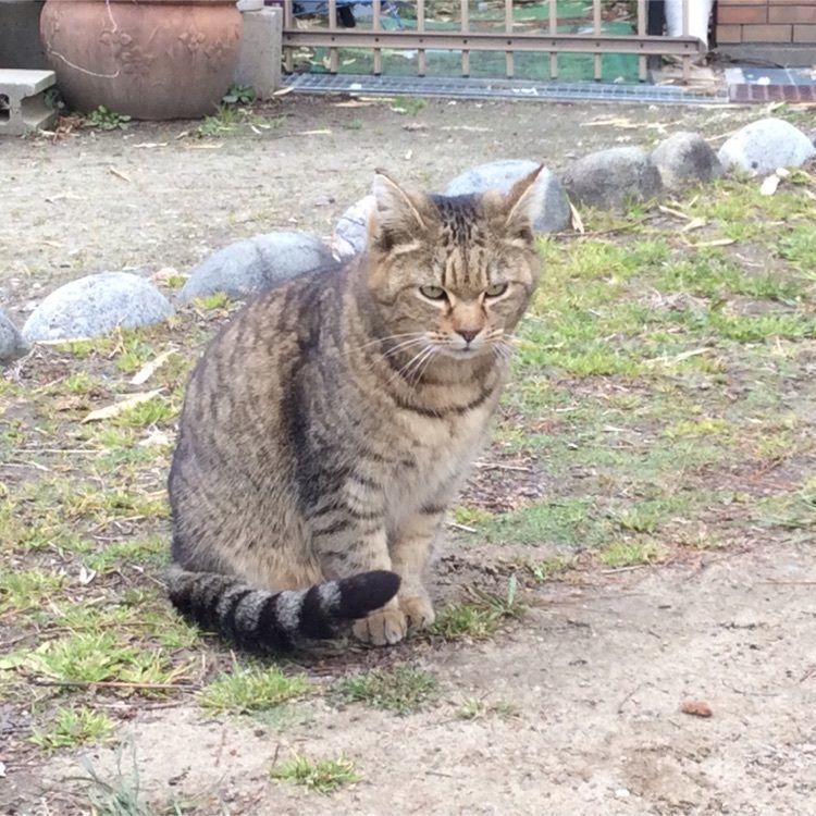 hiroさんが投稿した萬葉公園に関する口コミの画像