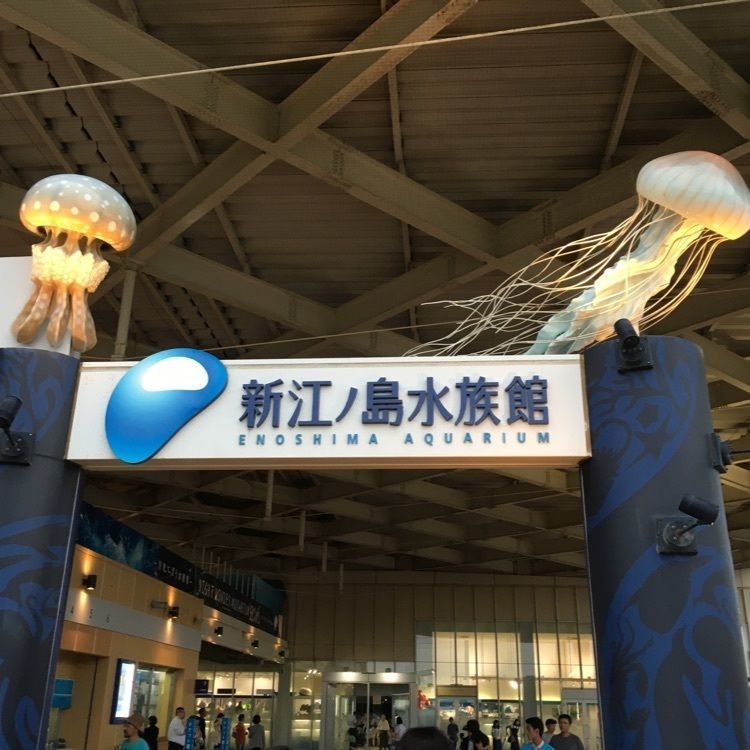 iさんが投稿した新江ノ島水族館に関する口コミの画像
