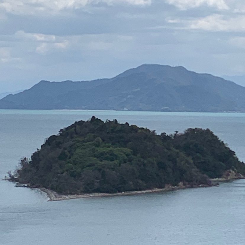 林檎さんが投稿した大芝大橋に関する口コミの画像
