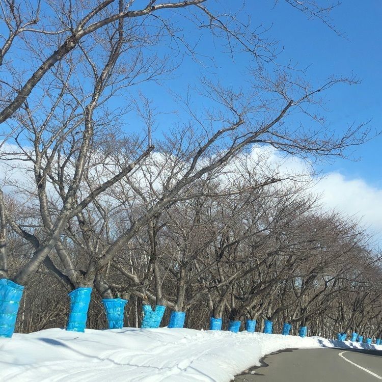 kazu&kinakoさんが投稿した戸田記念墓地公園に関する口コミの画像