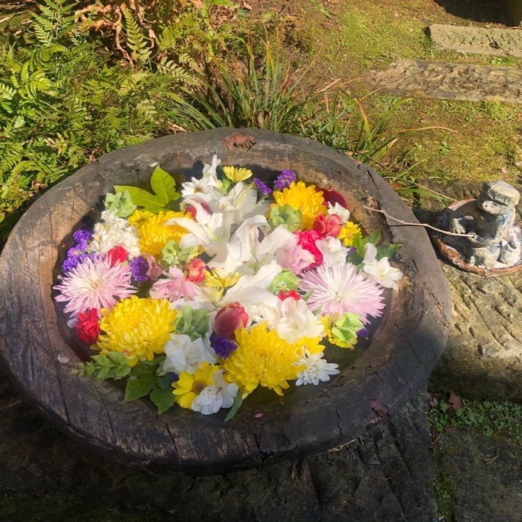 chiakiiiさんが投稿した栖足寺に関する口コミの画像