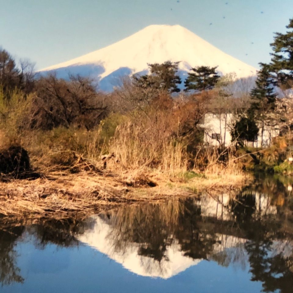 キミちゃんさんが投稿した画像の画像