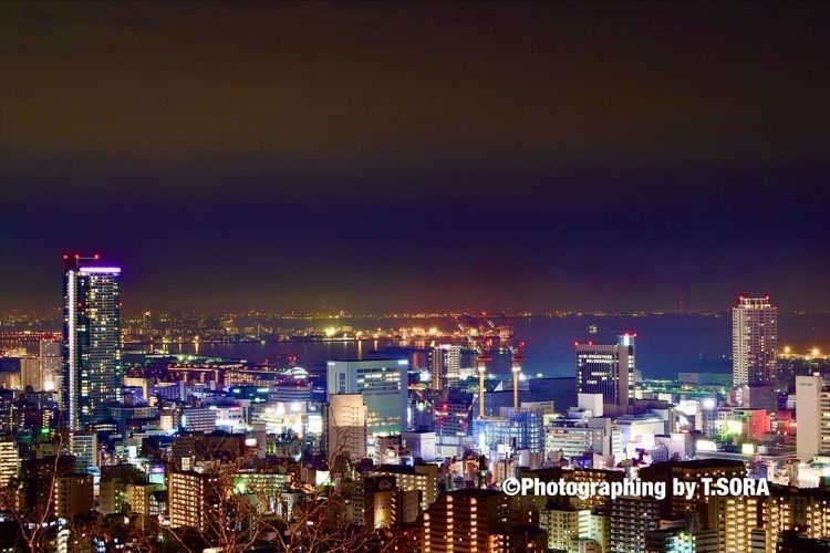 sorayanの画像