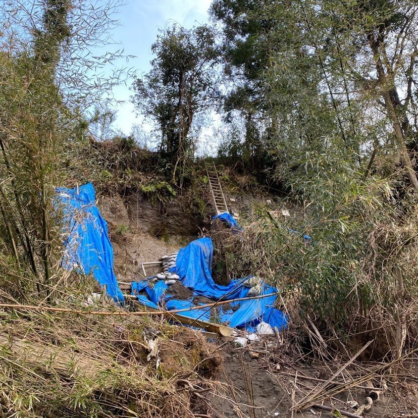 凱風快晴さんが投稿したチバニアン（地球磁場逆転地層）に関する口コミの画像