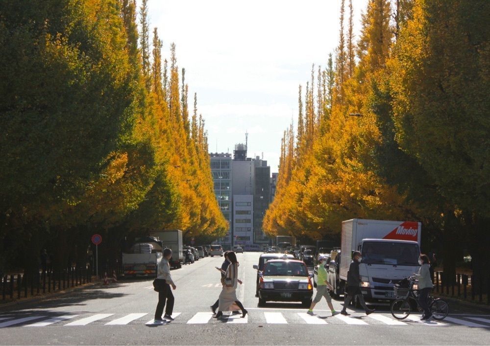 nori_87の画像