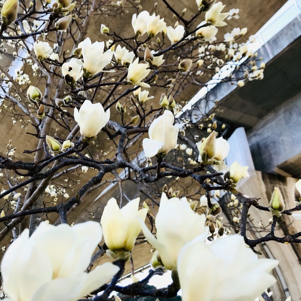 ＫMＴKさんが投稿した茶房 珍重庵 那智山店に関する口コミの画像