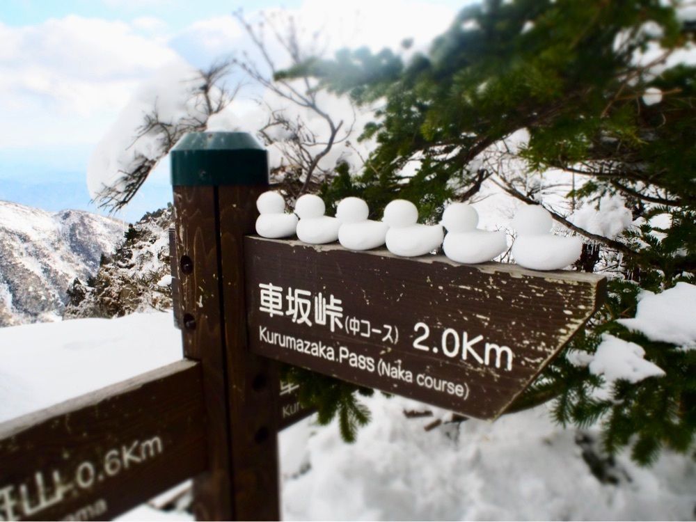 空子⁎✩︎*さんが投稿した黒斑山に関する口コミの画像
