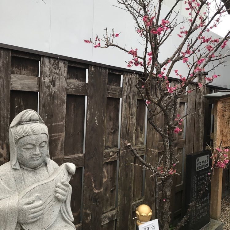 ココニャン_ver.2さんが投稿した柏神社に関する口コミの画像