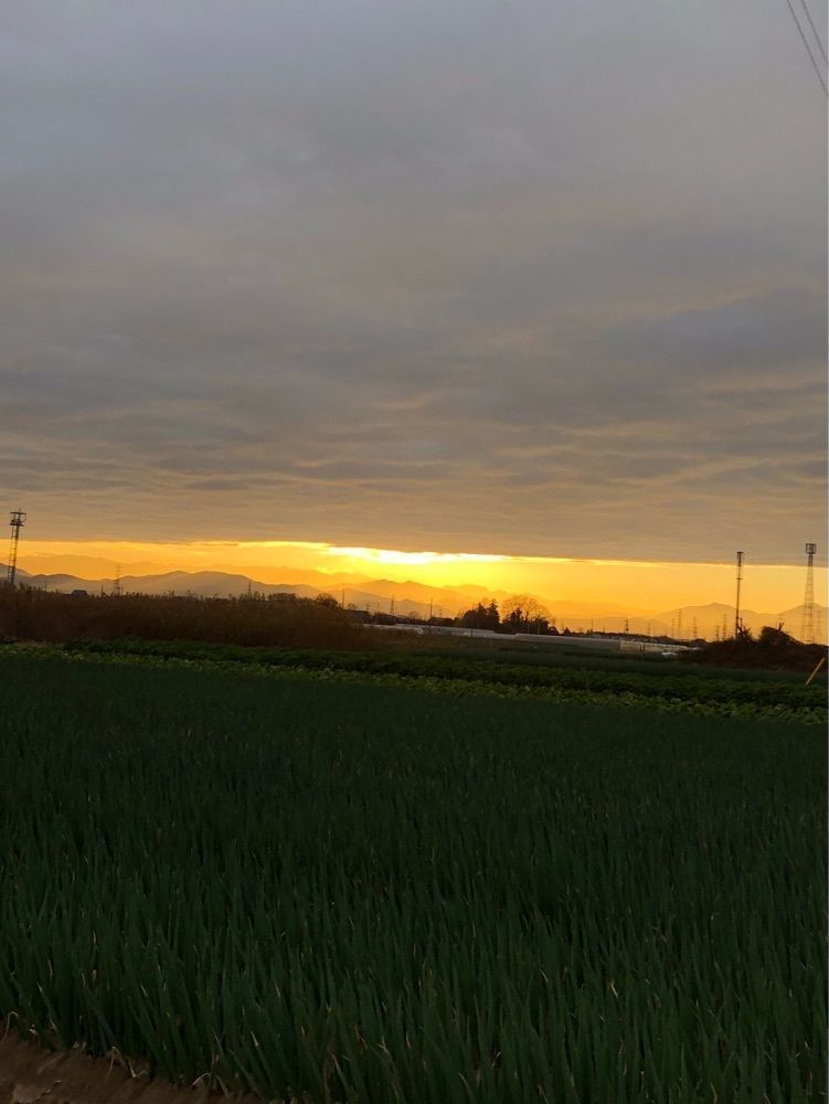 からっ風②さんが投稿した花藤に関する口コミの画像