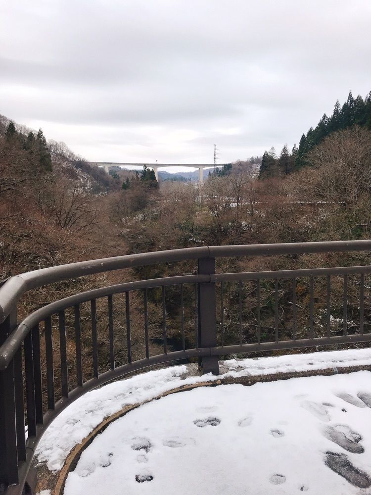 猫なぎ。さんが投稿した梵字川渓谷に関する口コミの画像