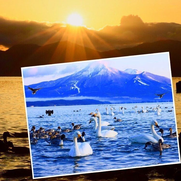 ツノふみさんが投稿した崎川浜湖水浴場に関する口コミの画像