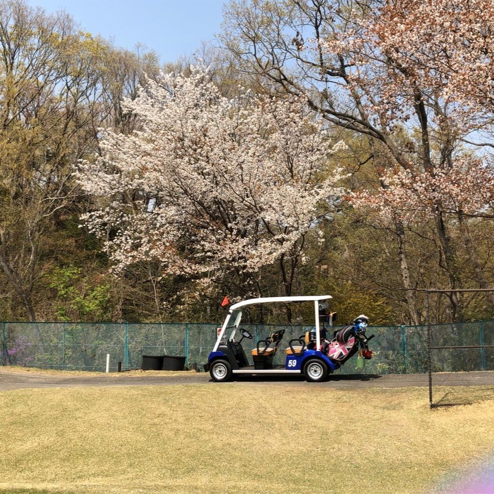 キミちゃんさんが投稿した画像の画像