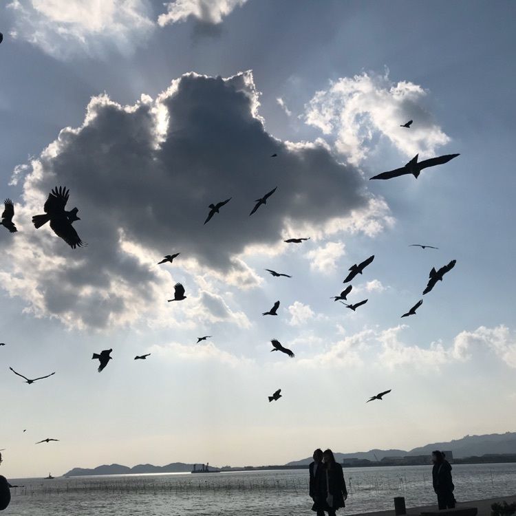 なおなおさんが投稿した海の文学記念館に関する口コミの画像
