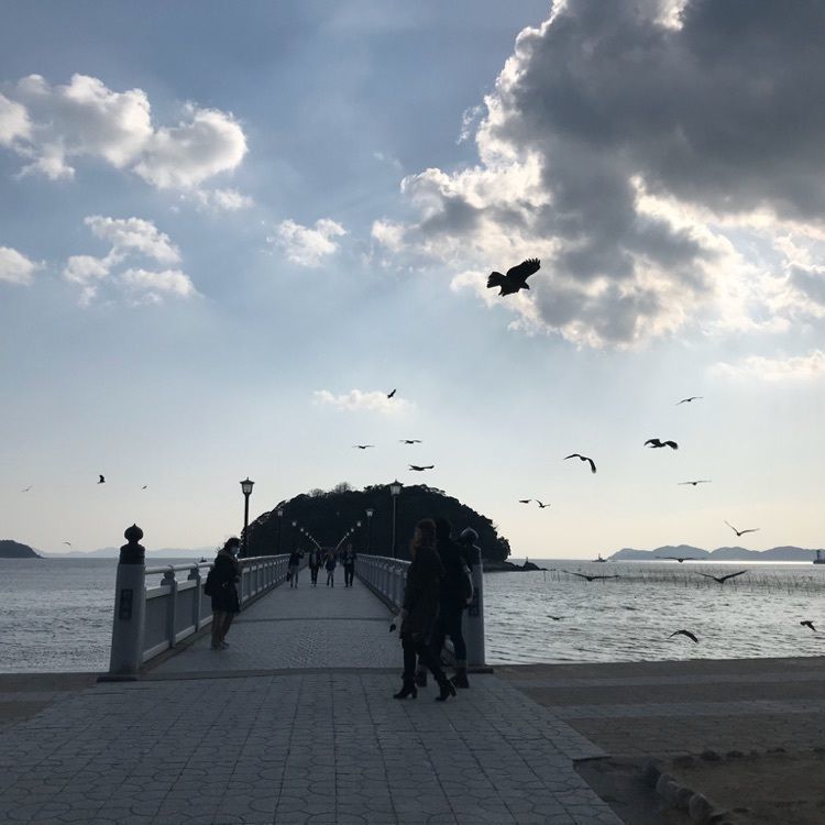 なおなおさんが投稿した海の文学記念館に関する口コミの画像