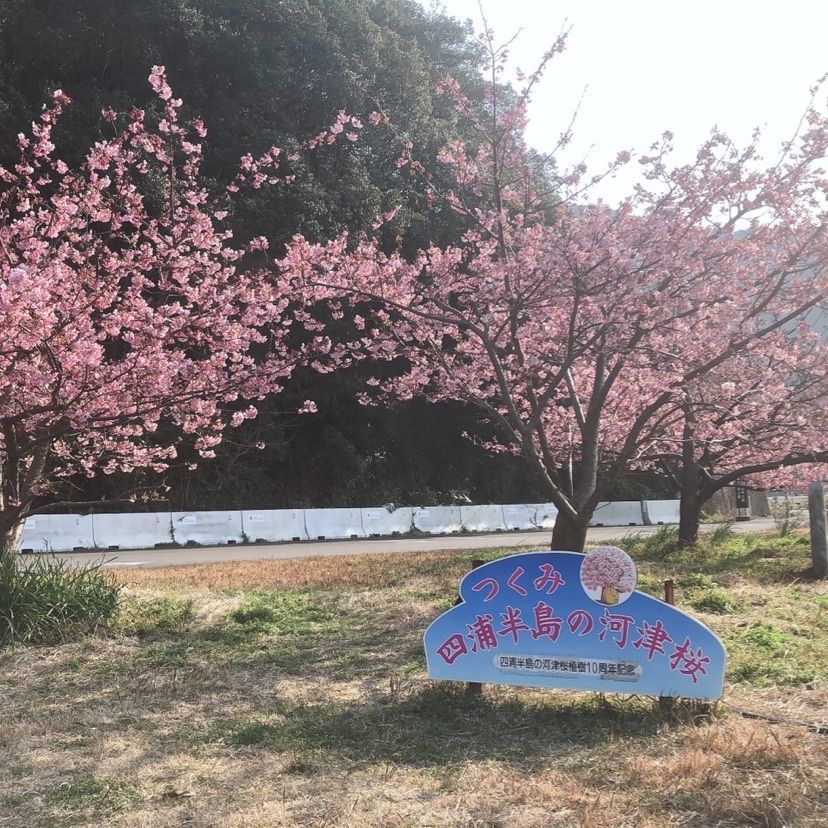 aki_1018simanchu⭐︎さんが投稿した津久見市に関する口コミの画像