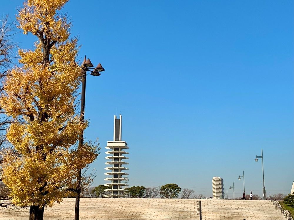 ＪＵNさんが投稿したコメダ珈琲店 駒沢公園店に関する口コミの画像
