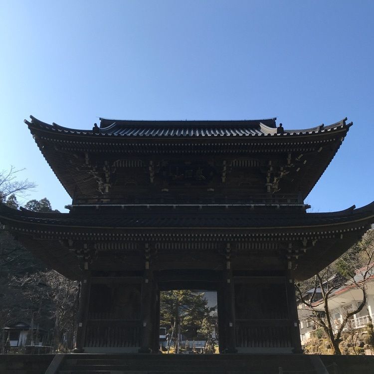 はっちゃんさんが投稿した林泉寺に関する口コミの画像
