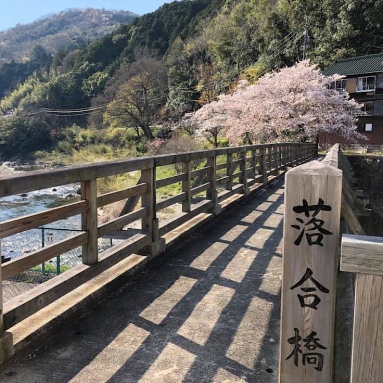 レティシアさんが投稿した城跡公園　足助城に関する口コミの画像