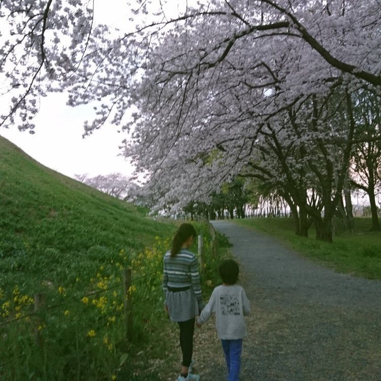 nori_sakikakeの画像