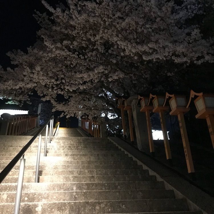 キングチェリーさんが投稿した西國寺に関する口コミの画像