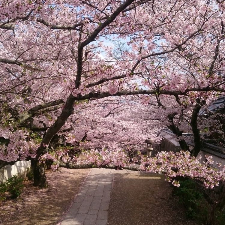 キングチェリーさんが投稿した西國寺に関する口コミの画像