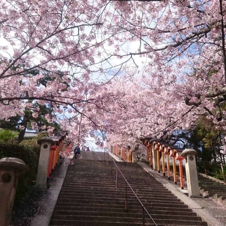 キングチェリーさんが投稿した西國寺に関する口コミの画像
