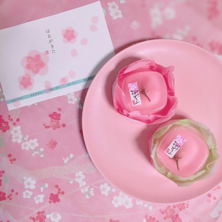 Canacameraの画像