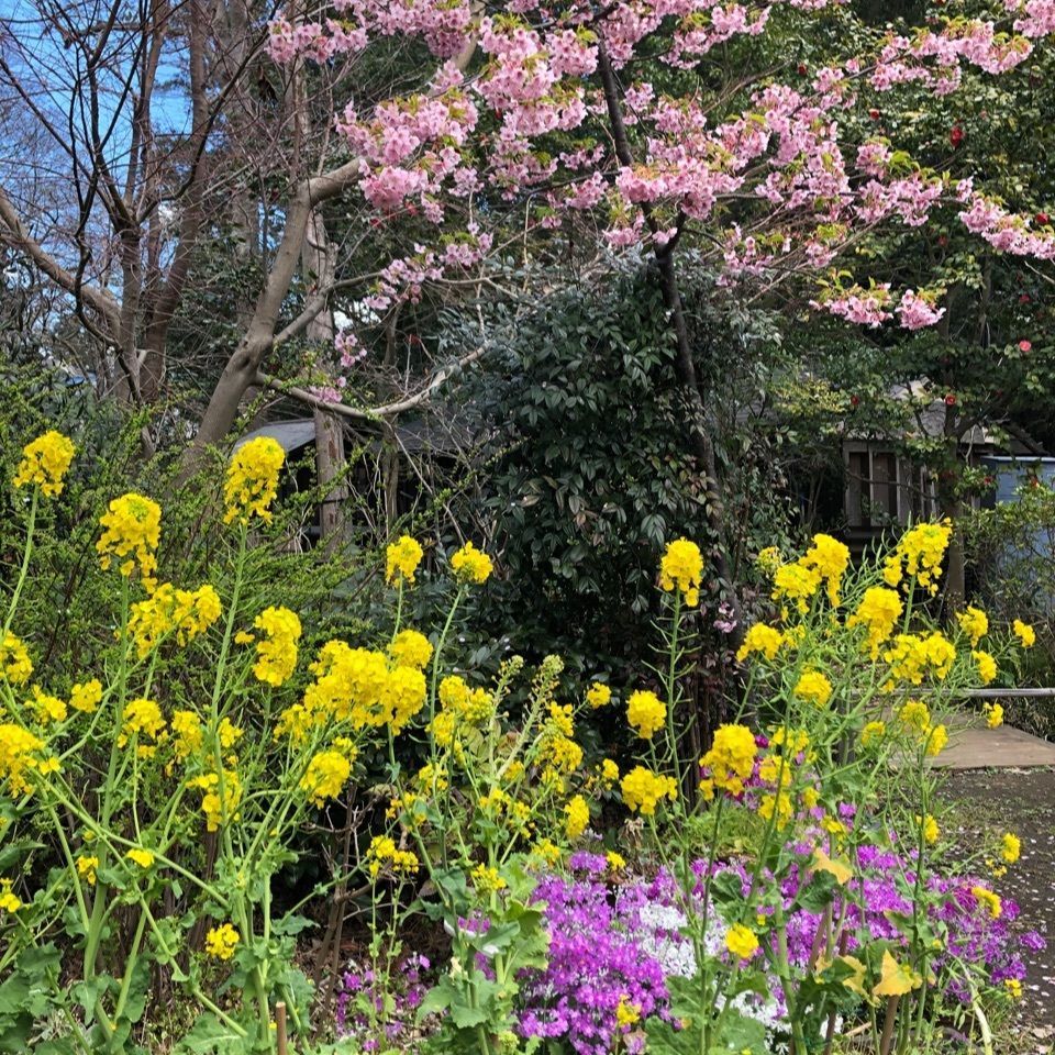 KEIKYOさんが投稿した二宮いちご園に関する口コミの画像