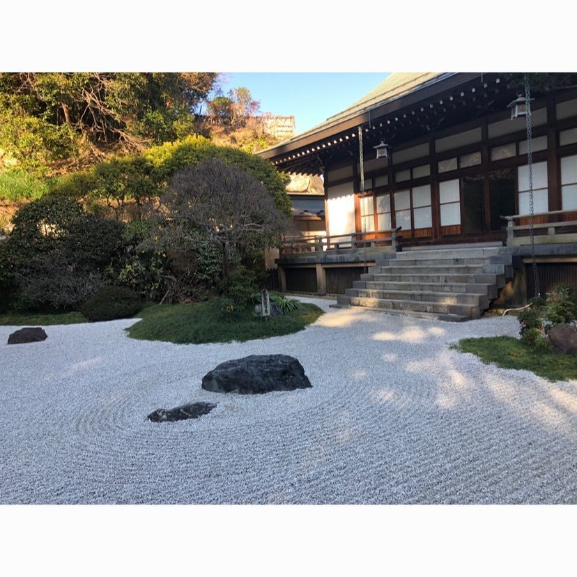 gyuさんが投稿した報國寺に関する口コミの画像