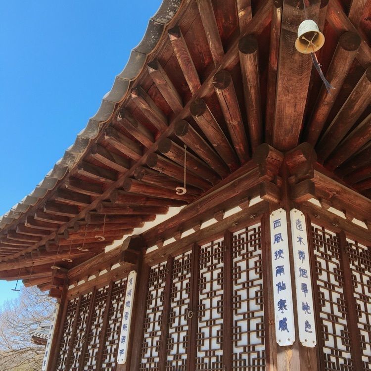 Canacameraさんが投稿したコリア庭園に関する口コミの画像